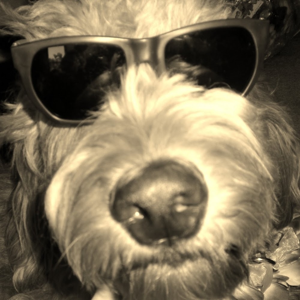 Meet your Posher, Kayleigh